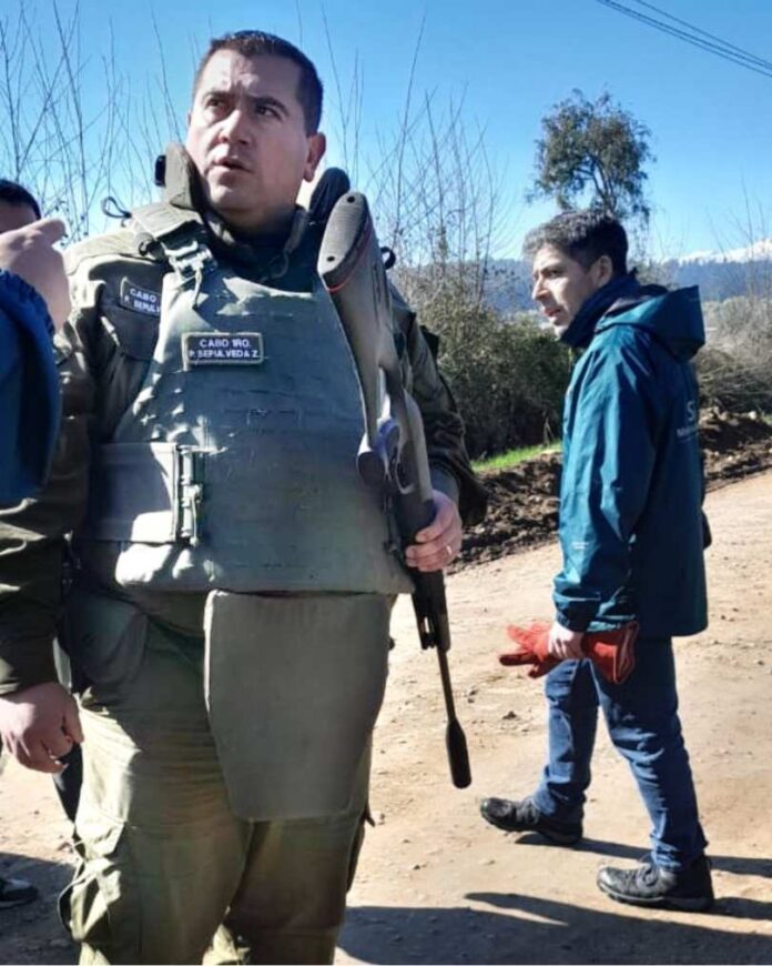 Carabineros y SAG detienen a cazador furtivo de especie protegida Carabineros y SAG detienen a cazador furtivo de especie protegida