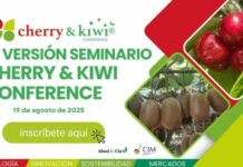 Cherry & Kiwi Conference 2025 Cherry & Kiwi Conference 2025: Curicó se consolida como punto de encuentro para la cereza y el kiwi