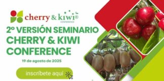 Cherry & Kiwi Conference 2025: Curicó se consolida como punto de encuentro para la cereza y el kiwi