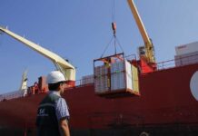 Chile avanza hacia la certificación fitosanitaria 100 % digital con China Chile avanza hacia la certificación fitosanitaria 100 % digital con China