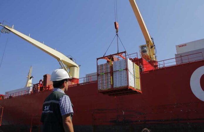 Chile avanza hacia la certificación fitosanitaria 100 % digital con China