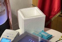 Chile lidera la apicultura inteligente: lanzan sistema de IA que revoluciona el análisis de miel