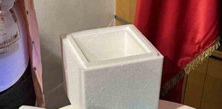 Chile lidera la apicultura inteligente: lanzan sistema de IA que revoluciona el análisis de miel