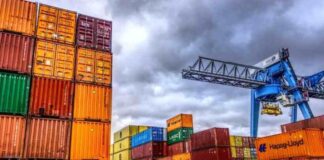 Chile se sitúa como principal proveedor de manzanas del mercado europeo