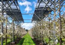 Comisión Nacional de Riego: Alta demanda por proyectos innovadores marca apertura del Primer Concurso de Innovación de la Ley de Riego Comisión Nacional de Riego: Alta demanda por proyectos innovadores marca apertura del Primer Concurso de Innovación de la Ley de Riego