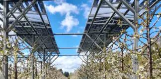 Comisión Nacional de Riego: Alta demanda por proyectos innovadores marca apertura del Primer Concurso de Innovación de la Ley de Riego