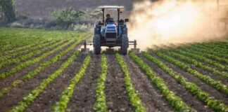 Contaminantes invisibles: hacia un consumo informado y seguro