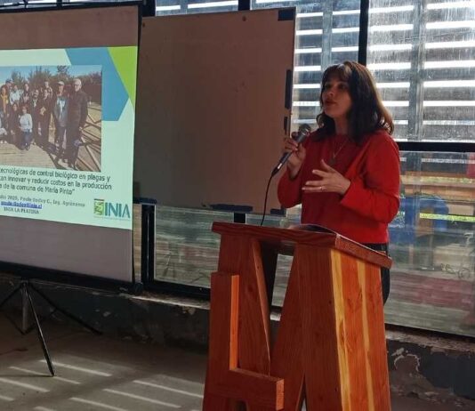 Control biológico de plagas: agricultores de María Pinto cierran gira tecnológica con soluciones concretas para sus predios