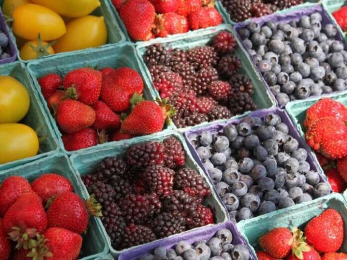 Copefrut avanza hacia el futuro con SAP S4HANA y reafirma su compromiso con la sostenibilidad Copefrut avanza hacia el futuro con SAP S/4HANA y reafirma su compromiso con la sostenibilidad