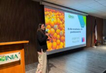 Dispositivo portátil para detección de plaguicidas: INIA La Platina cierra proyecto Fondef con seminario técnico