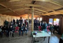 Dueños/as de equinos participan en conversatorio sobre Anemia Infecciosa Equina