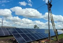 Energía solar para la agroindustria: de costo a ventaja competitiva