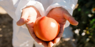 Enza Zaden refuerza su presencia en Chile para impulsar la innovación agrícola