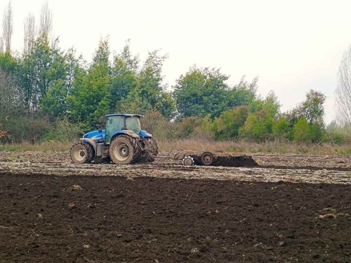 Especialista destaca las claves para que ganaderos obtengan una alfalfa nutritiva en suelos ácidos (1) Especialista destaca las claves para que ganaderos obtengan una alfalfa nutritiva en suelos ácidos