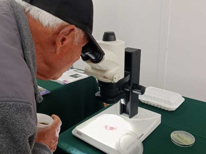 Expertos nacionales e internacionales analizaron amenazas virales en la hortofruticultura Expertos nacionales e internacionales analizaron amenazas virales en la hortofruticultura