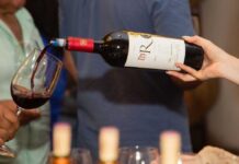 Exportación de vinos chilenos 2025 al alza y Brasil toma la delantera Exportación de vinos chilenos 2025 al alza y Brasil toma la delantera