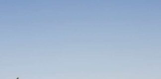 FAO aprueba la creación del Día Internacional de las Frutas y Verduras propuesto por Chile