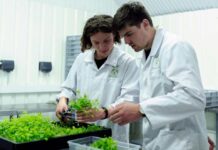 Fomento Los Ríos impulsa la innovación sostenible con tres convocatorias abiertas bajo el programa Sostenibles x Naturaleza Fomento Los Ríos impulsa la innovación sostenible con tres convocatorias abiertas bajo el programa Sostenibles x Naturaleza