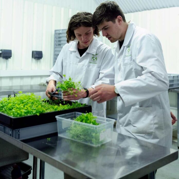 Fomento Los Ríos impulsa la innovación sostenible con tres convocatorias abiertas bajo el programa Sostenibles x Naturaleza