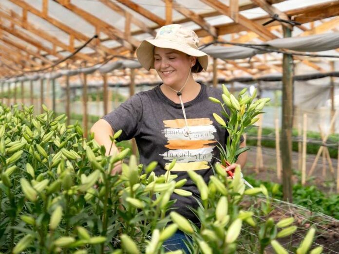 Gobierno presenta iniciativa para que juventudes rurales adquieran su primer terreno productivo
