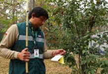 Gremios chilenos exigen acciones inmediatas para enfrentar la mosca de la fruta