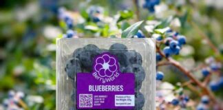 Grupo Agroberries lanza BerryWorld Asia y refuerza su apuesta por el mercado asiático