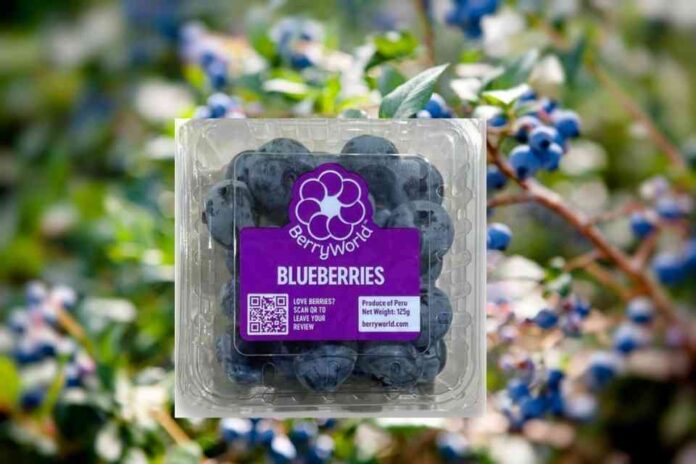 Grupo Agroberries lanza BerryWorld Asia y refuerza su apuesta por el mercado asiático