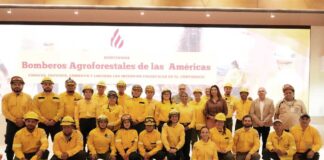 IICA lanza iniciativa hemisférica para enfrentar los incendios forestales en las Américas