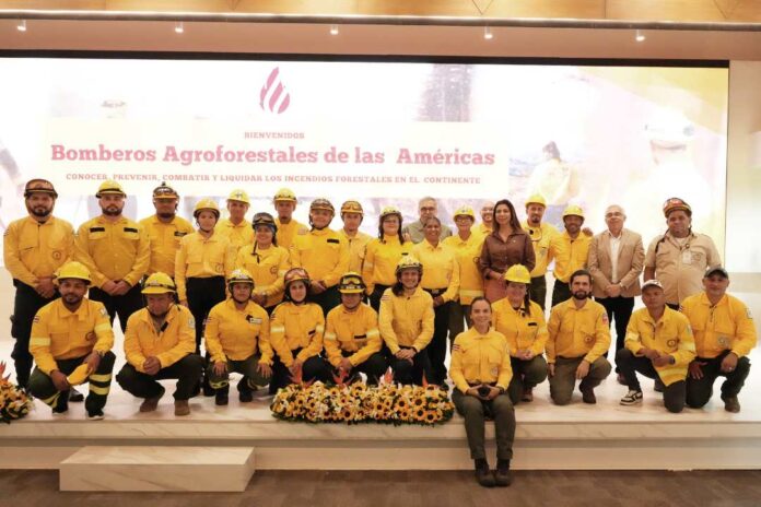 IICA lanza iniciativa hemisférica para enfrentar los incendios forestales en las Américas