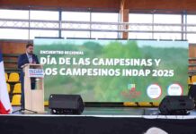 INDAP Biobío celebró Día de las Campesinas y Campesinos dando a conocer inversión pública 2022 – 2025 INDAP Biobío celebró Día de las Campesinas y Campesinos dando a conocer inversión pública