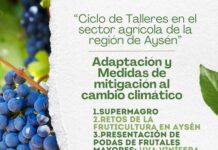 INDAP, la Municipalidad de Río Ibáñez y el IICA organizan ciclo de talleres sobre agricultura y cambio climático en Aysén