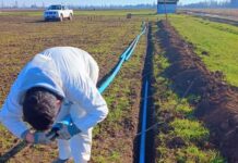 INIA evalúa riego subterráneo en alfalfa en el centro sur de Chile INIA evalúa riego subterráneo en alfalfa en el centro sur de Chile