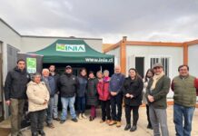 INIA inauguró Sala de Proceso de Papa en Magallanes para impulsar valor agregado y sostenibilidad en la producción INIA inauguró Sala de Proceso de Papa en Magallanes para impulsar valor agregado y sostenibilidad en la producción