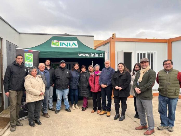 INIA inauguró Sala de Proceso de Papa en Magallanes para impulsar valor agregado y sostenibilidad en la producción