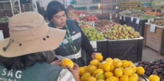 Ingreso ilegal de productos agrícolas: la amenaza detrás del aumento de mosca de la fruta