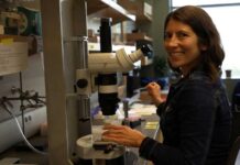 Investigadoras UV desarrollan ecoconsorcios microbianos para recuperar tierras agrícolas afectadas por el cambio climático