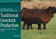 Investigadores de INIA Remehue participan en publicación internacional de ganadería ovina tradicional