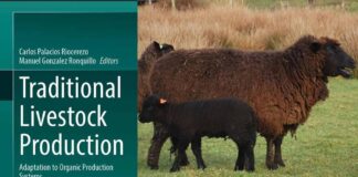 Investigadores de INIA Remehue participan en publicación internacional de ganadería ovina tradicional