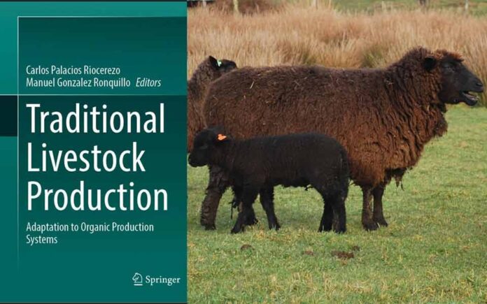 Investigadores de INIA Remehue participan en publicación internacional de ganadería ovina tradicional Investigadores de INIA Remehue participan en publicación internacional de ganadería ovina tradicional