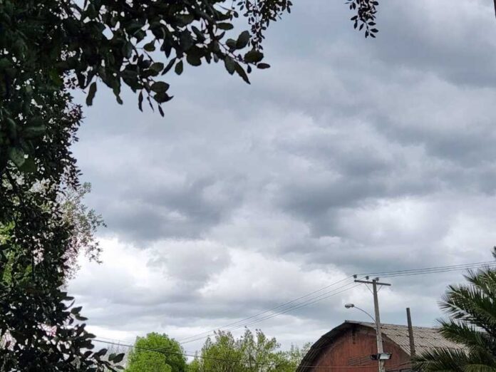 Invierno frío, escasez de lluvias y previsión de calor en verano conforman un año particular en el centro-sur Invierno frío, escasez de lluvias y previsión de calor en verano conforman un año particular en el centro-sur