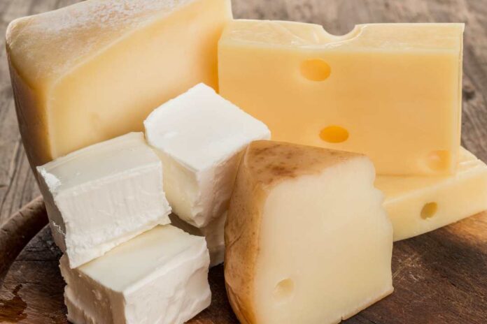 Invitan a participar en el primer concurso internacional de quesos artesanos Encuentro Quesos del Nuevo Mundo 2025 Invitan a participar en el primer concurso internacional de quesos artesanos Encuentro Quesos del Nuevo Mundo 2025