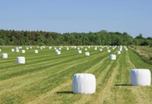 Agroplanet asegura abastecimiento de insumos de enfardados para agricultores pese a mayores costos de materias primas