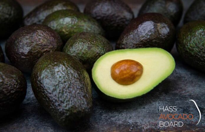 La Hass Avocado Board apuesta por la investigación nutricional en su nuevo plan estratégico La Hass Avocado Board apuesta por la investigación nutricional en su nuevo plan estratégico