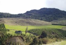 La Red Agroclimática Nacional invita al webinar «¿Tenemos suficiente agua y nieve disponible en el territorio? La Red Agroclimática Nacional invita al webinar "¿Tenemos suficiente agua y nieve disponible en el territorio?