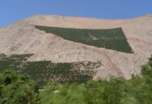 La superficie de viñedos para Vinos Premium en la Región de Coquimbo podría aumentar si se adopta la estrategia de Lagos Artificiales de Texas La superficie de viñedos para Vinos Premium en la Región de Coquimbo podría aumentar si se adopta la estrategia de Lagos Artificiales de Texas