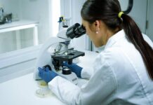 LAS CLAVES PARA PRODUCIR PLANTAS DE CALIDAD PARA LA FRUTICULTURA DE CHILE Y EL MUNDO