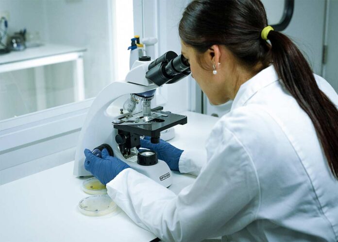 LAS CLAVES PARA PRODUCIR PLANTAS DE CALIDAD PARA LA FRUTICULTURA DE CHILE Y EL MUNDO LAS CLAVES PARA PRODUCIR PLANTAS DE CALIDAD PARA LA FRUTICULTURA DE CHILE Y EL MUNDO