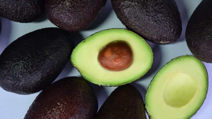 Más de 5,9 millones de platos con palta fueron pedidos en Chile durante el último año Más de 5,9 millones de platos con palta fueron pedidos en Chile durante el último año