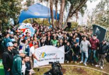 Más de 900 árboles nativos son plantados en Viña del Mar tras histórica reforestación 