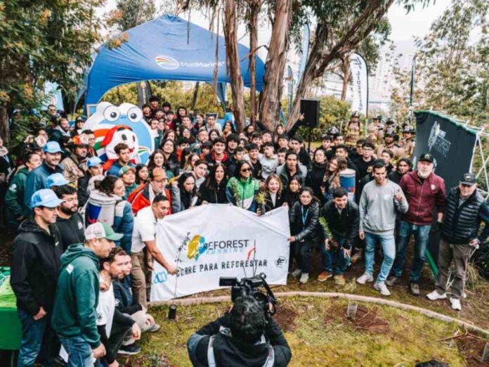Más de 900 árboles nativos son plantados en Viña del Mar tras histórica reforestación 